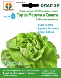 resized300_Ingrasamant pentru salate - 20 g.webp Ingrasamant pentru salate - 20 g